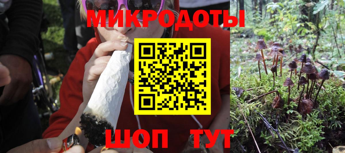 Коломна  купить закладку  Псилоцибиновые грибы Psilocybine cubensis  Вход с VPN  Псилоцибиновые грибы Magic Shrooms 